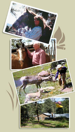 Los Pinos Guest Ranch Activities