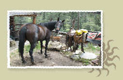 Los Pinos Guest Ranch