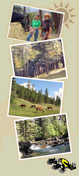 Los Pinos Guest Ranch