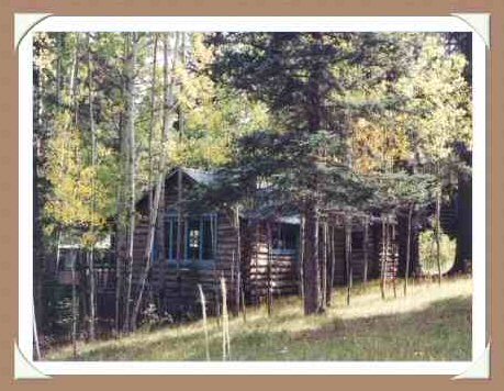 Guest Cabin