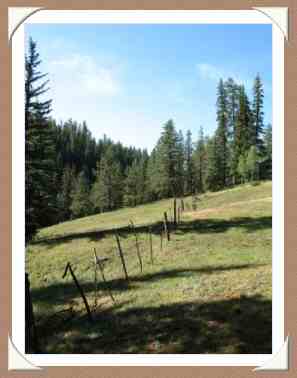 Los Pinos Ranch Pasture